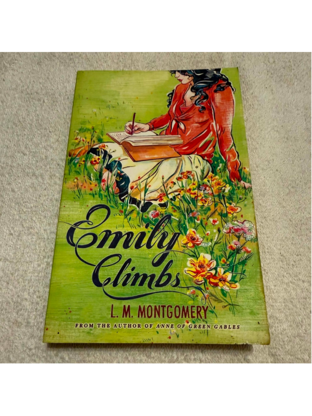 Sourcebooks Fire Emily Climbs Green